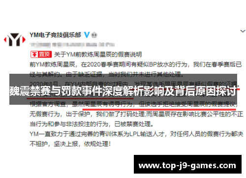 魏震禁赛与罚款事件深度解析影响及背后原因探讨