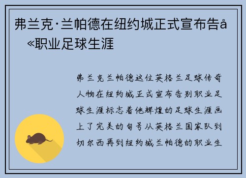 弗兰克·兰帕德在纽约城正式宣布告别职业足球生涯
